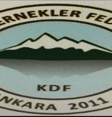 Olağanüstü Genel Kurul Toplantısı Duyurusu